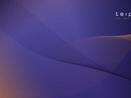 teipel.law in datenschutzrechtlichem Verfahren für private Hochschule aus Hessen erfolgreich (LMS CANVAS)